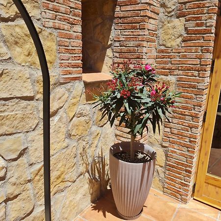 Casa Rural Del Pantano 4 Estrellas Buenache de Alarcon Bagian luar foto