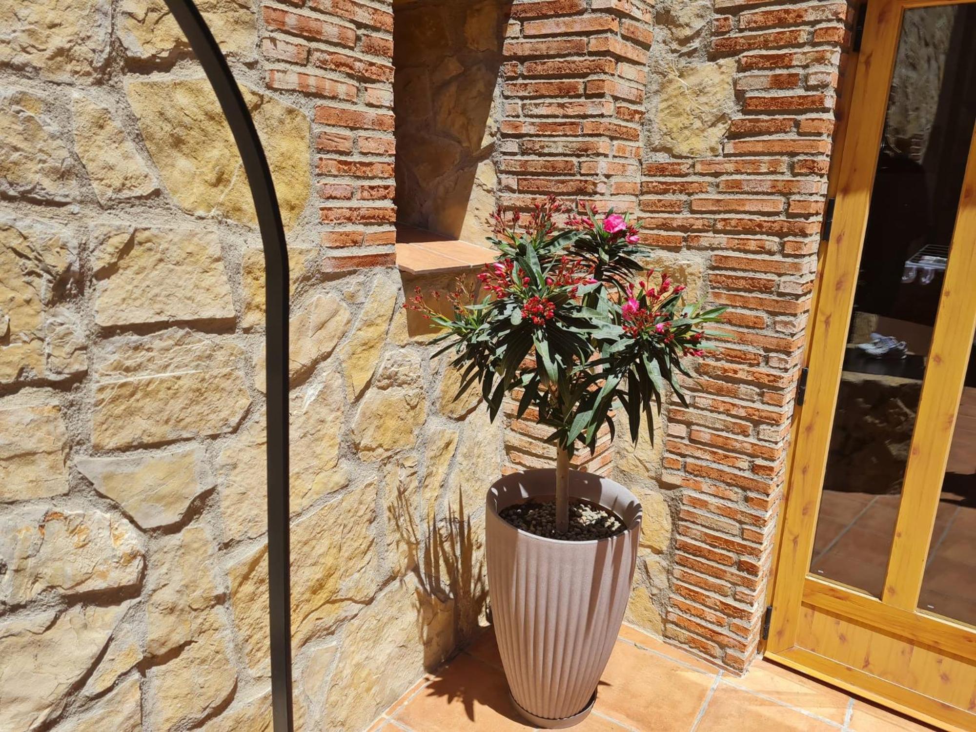 Casa Rural Del Pantano 4 Estrellas Buenache de Alarcon Bagian luar foto